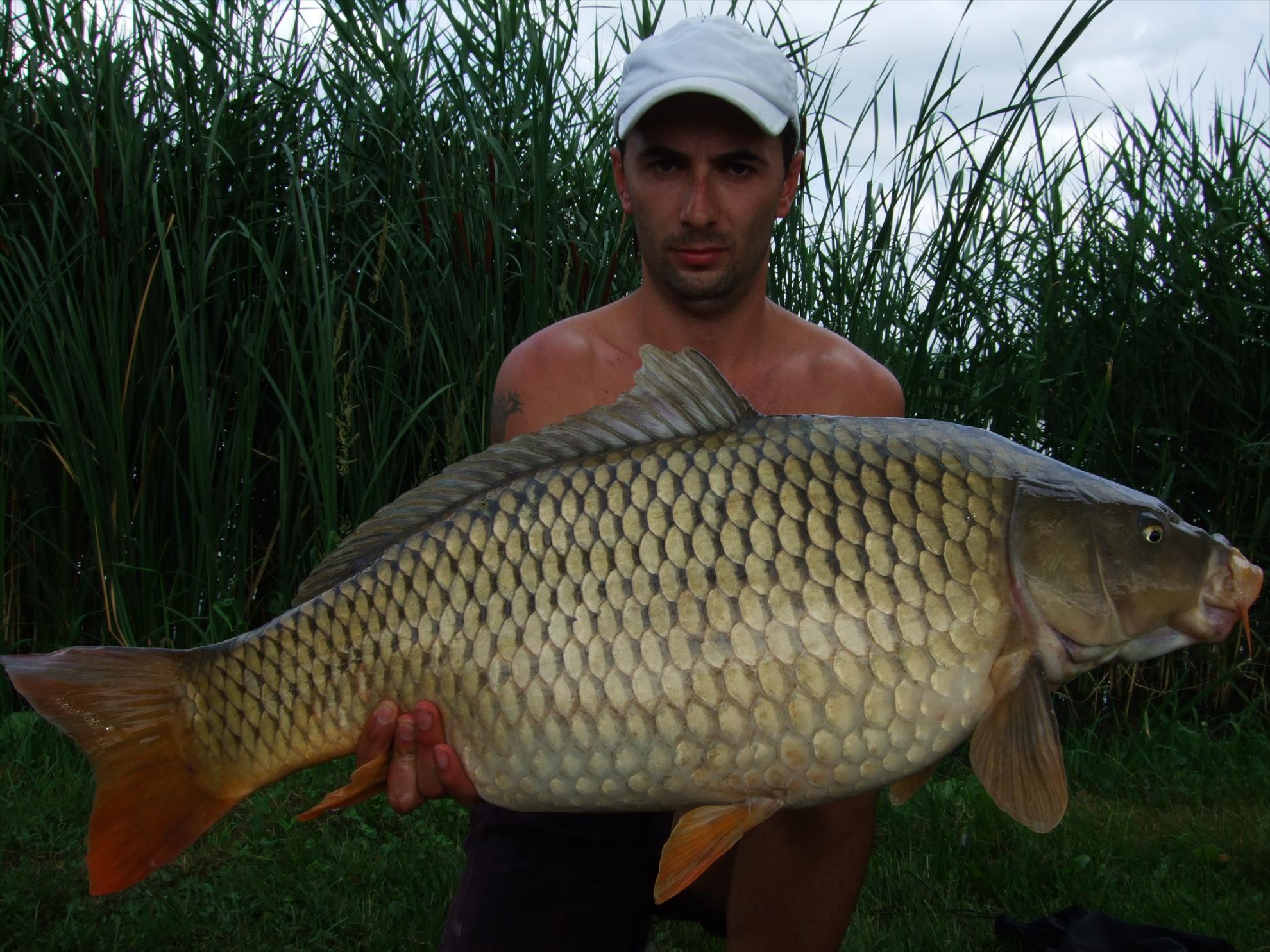 Nagykallo 2012 - 198.JPG